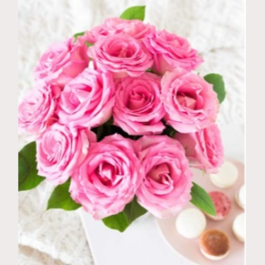 18% off on One Dozen Light Pink Roses Image