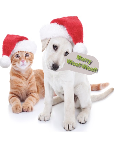 Pets and Christmas