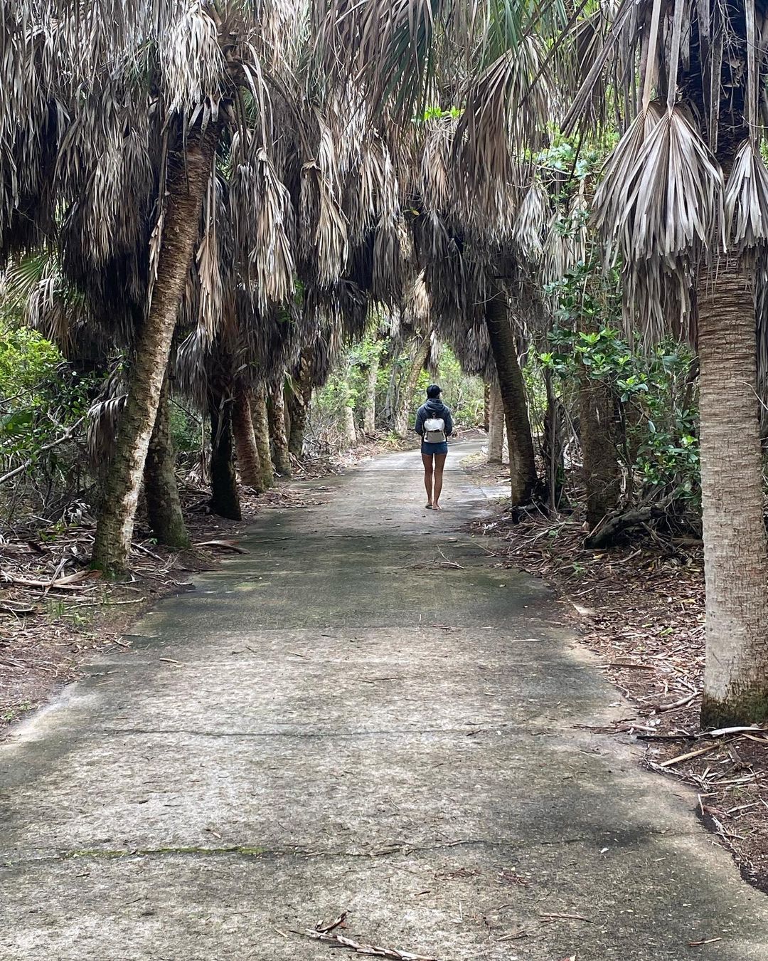 Joelle's Fitness Picks