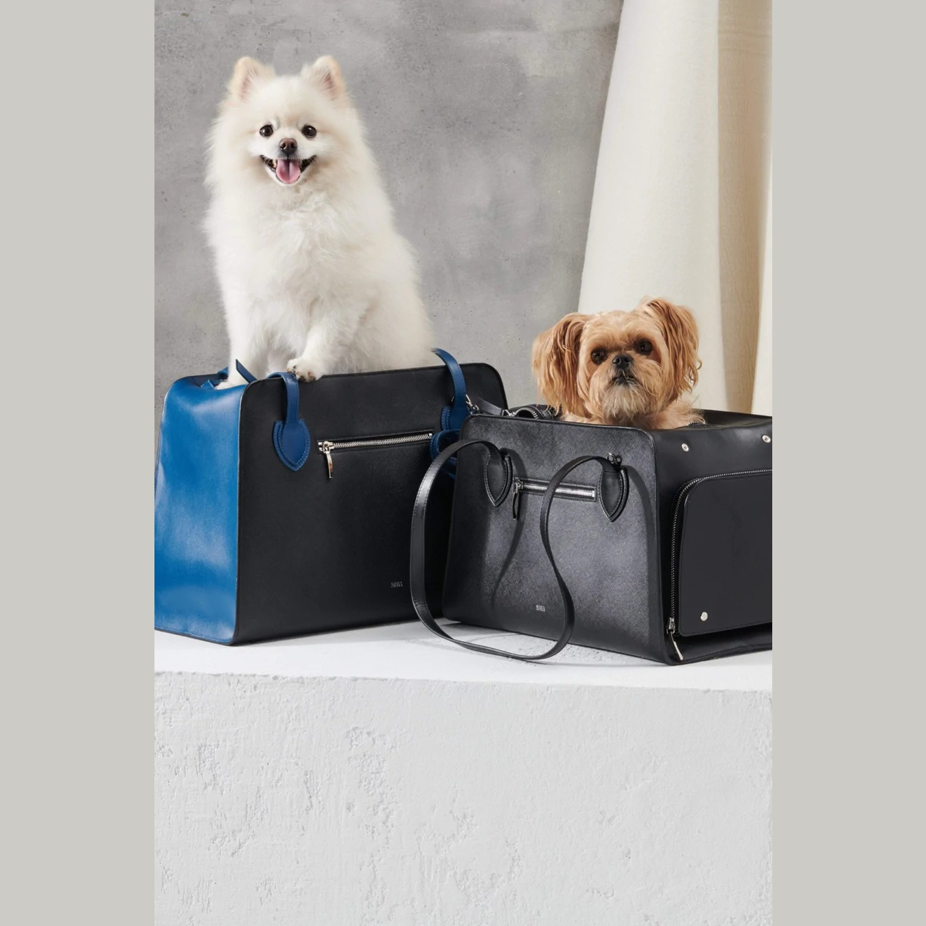 COBALT SHAYA PET CARRIER