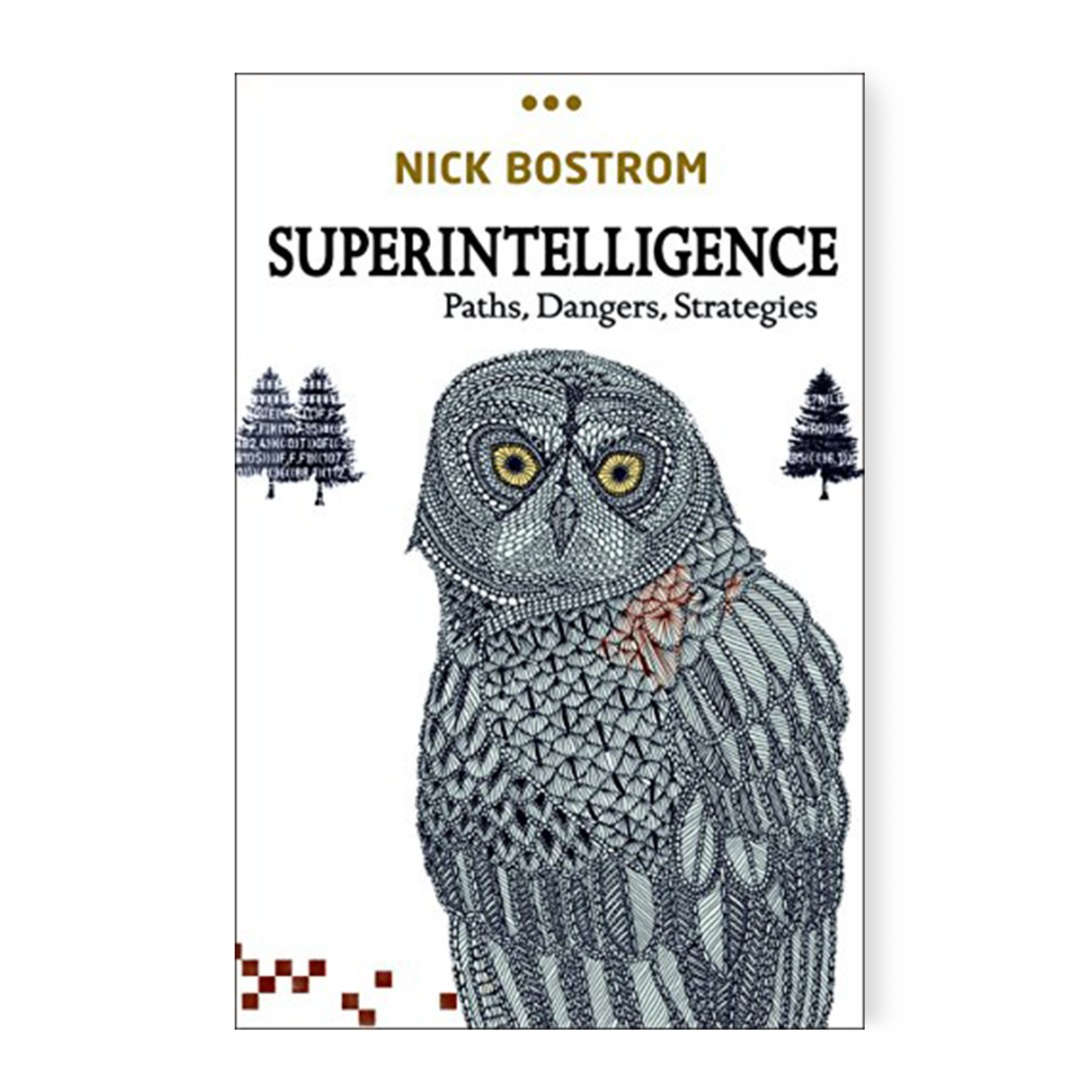 Amazon.com: Superintelligence: Paths, Dangers, Strategies eBook: Bostrom, Nick: Kindle Store