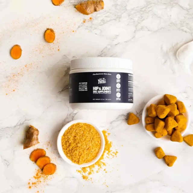 Homemade Vegan Dog Food Recipes (100 Plantbased)