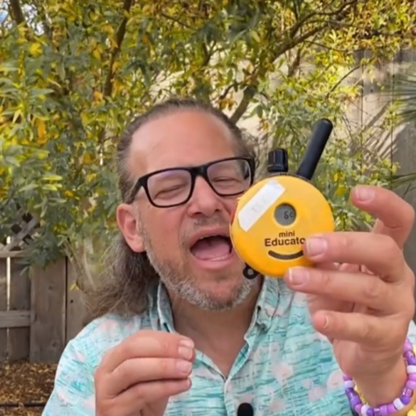 Two dogs on one controller the E-Collar - ET-302 (1/2-mile range)