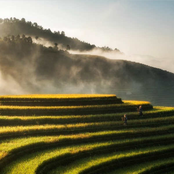 Best Of Vietnam In 14 Days