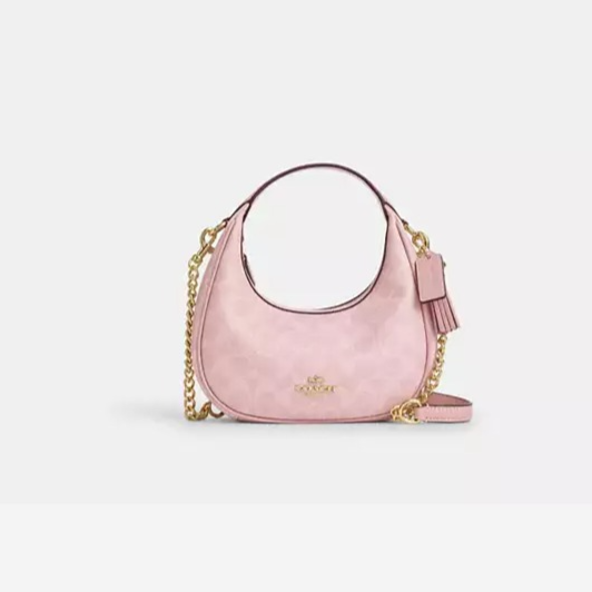 Carmen Mini Crossbody Bag In Signature Canvas