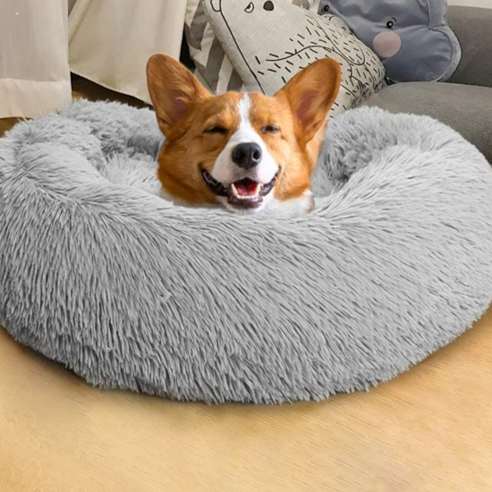 Corgi Beds