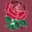 England Rugby Store