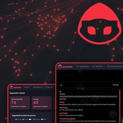 Insecure Web (Lifetime Deal)