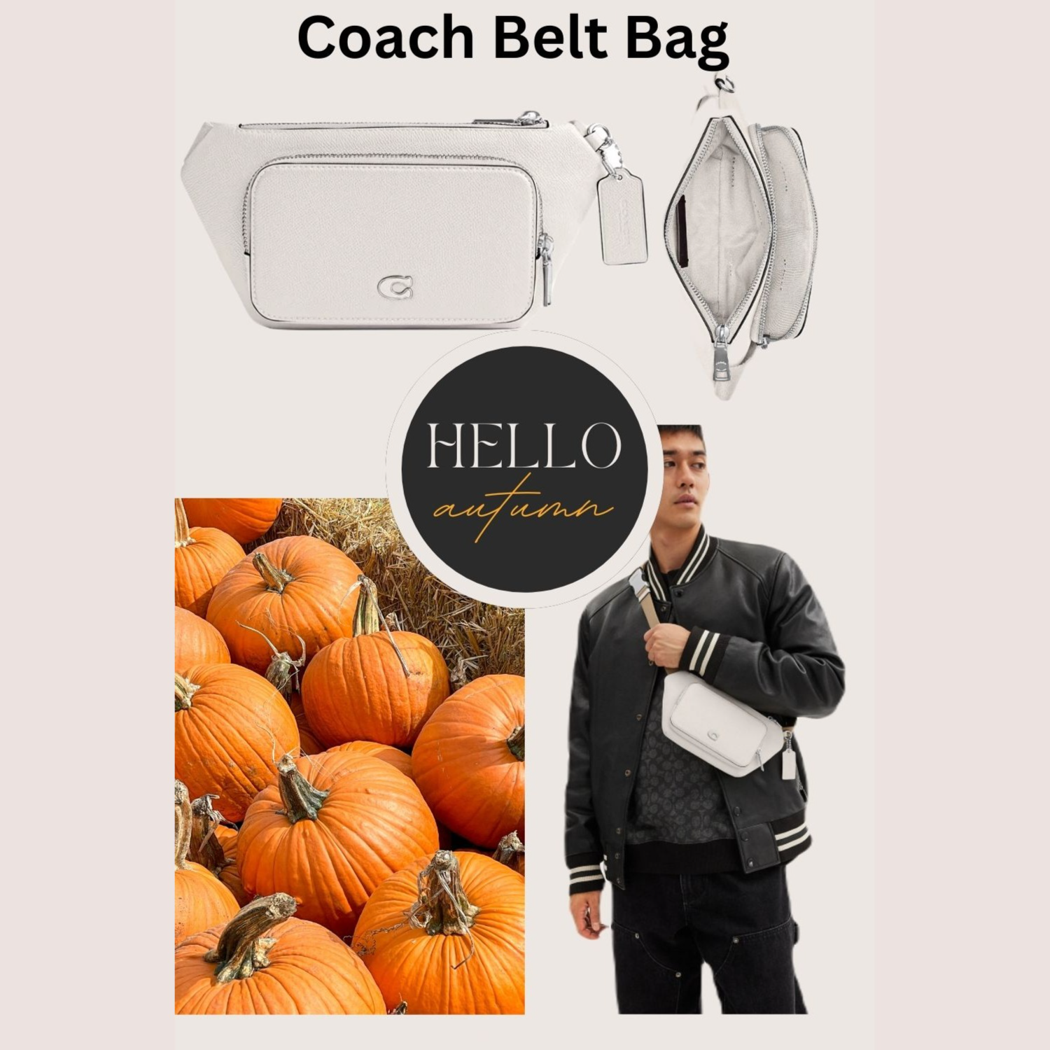 hitch belt bag coach