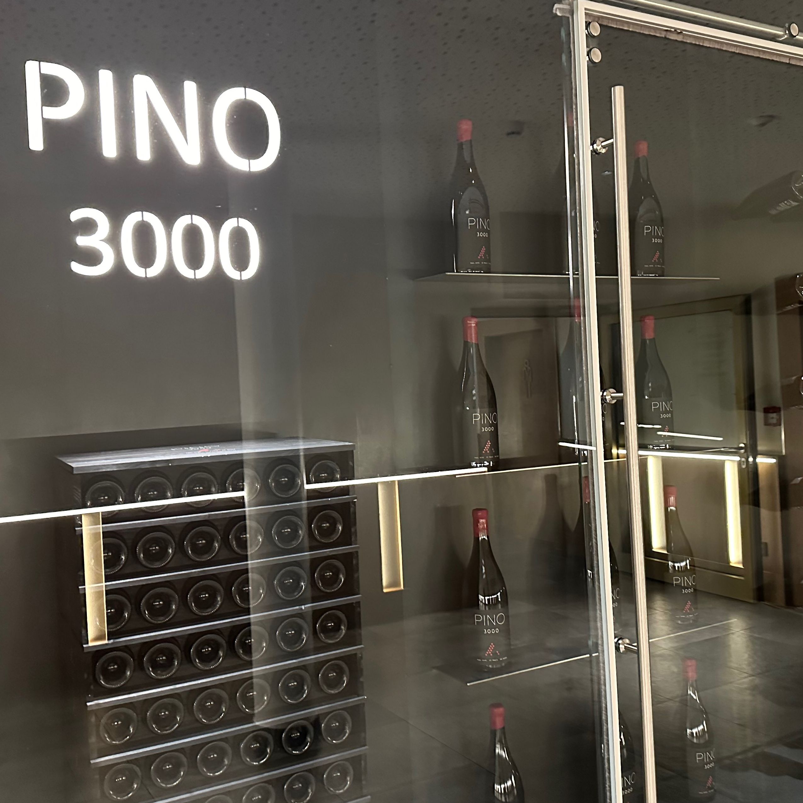 Pino 3000 by Paul Achs