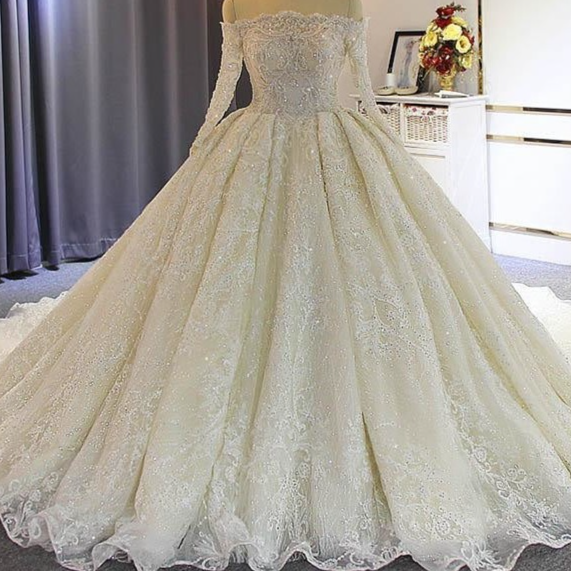Exquisite Bateau Long Sleeves Lace-Up Ball Gown Wedding Dresses with Train