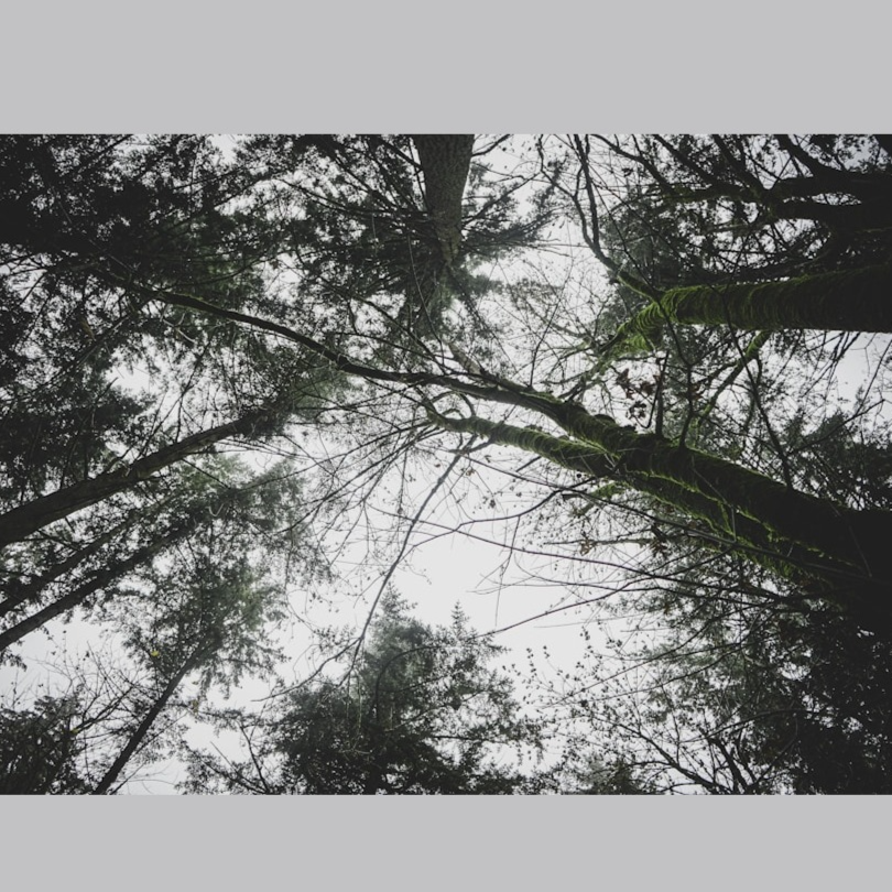 Natures Finest Fr