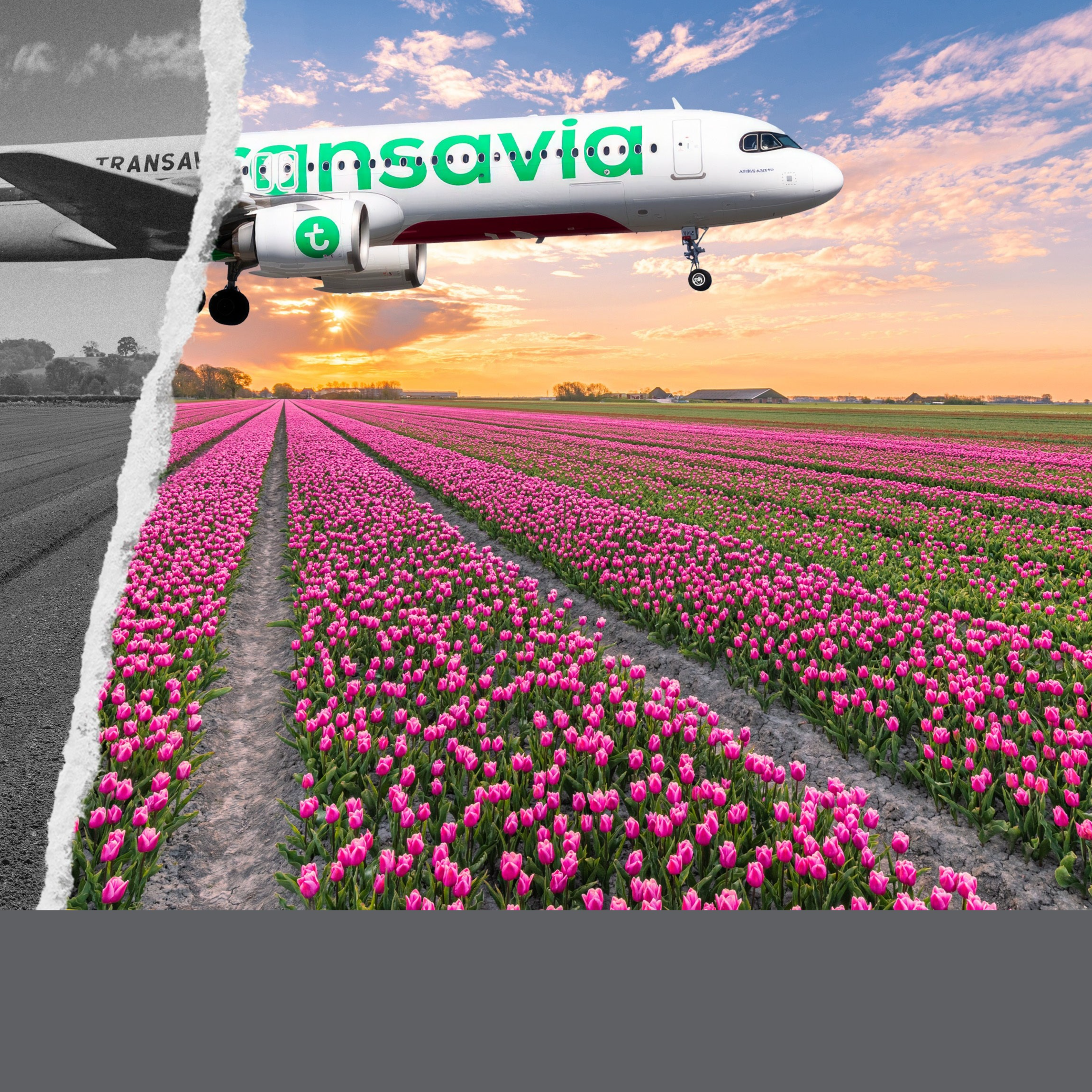 Goedkope vliegtickets | Eenvoudig boeken | Transavia