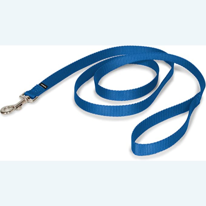 The perfect basic dog leash