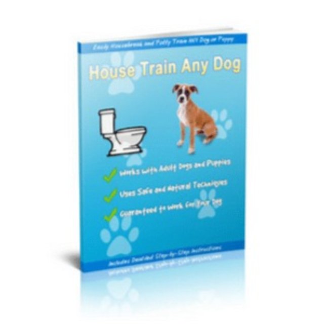 House Train Any Dog – Well-Mannered Pet In 7 Days!