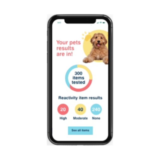 The 7 Stages Of Puppy Development From Puppy To Dog