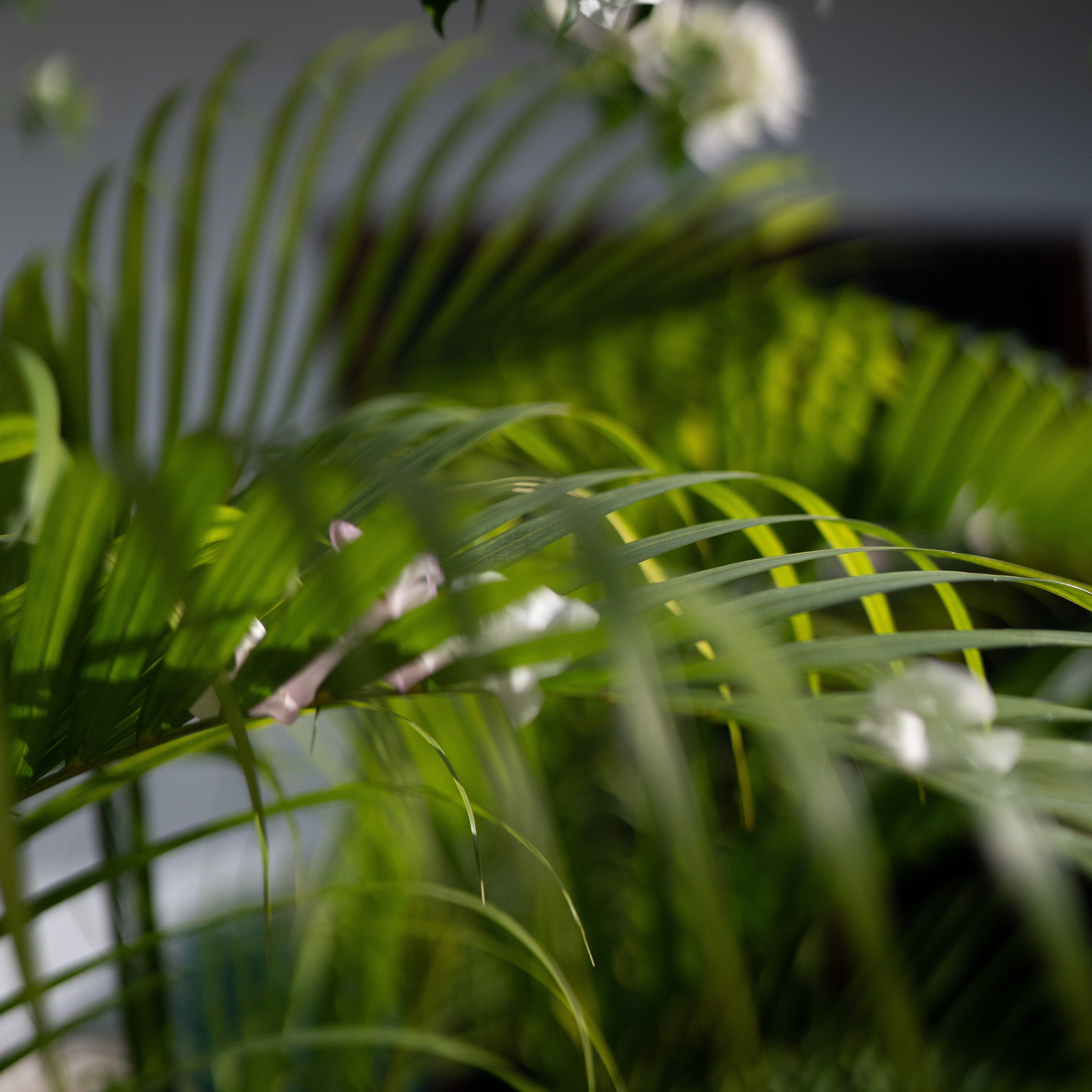Artificial Plants - Create Your Zen Inspired Space