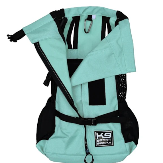 Corgi Travel Backpacks