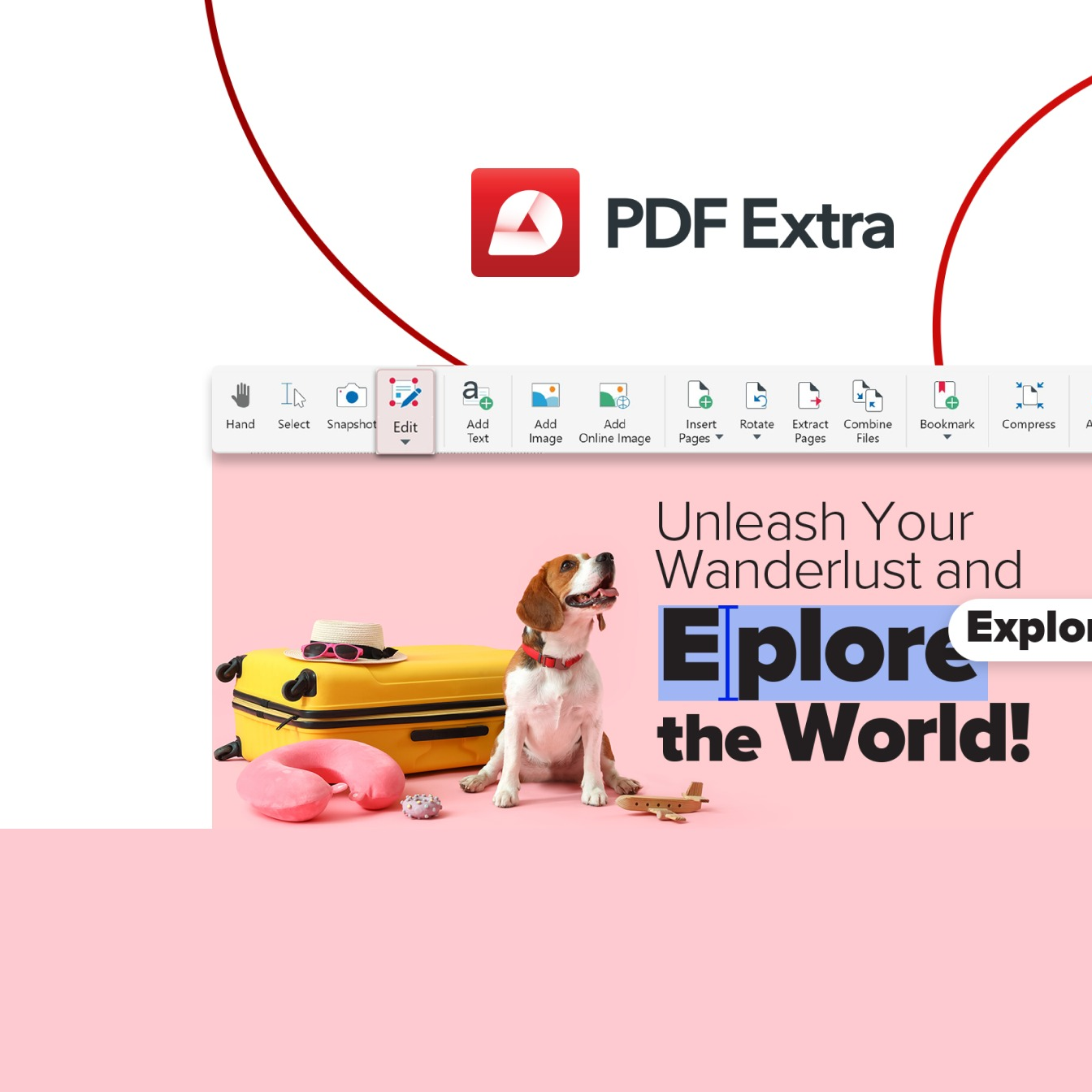 Software & Digital Products
