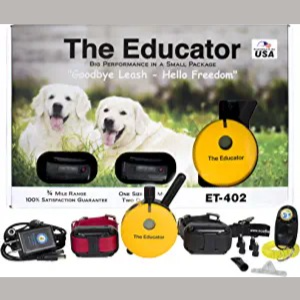 Dog Training Collars