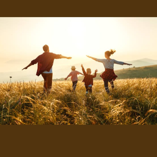 Mayo Clinic - Bariatric