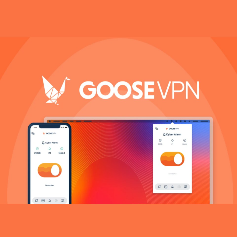 GOOSE VPN Lifetime deal Browse the web anonymously and protect your data with a secure VPN service