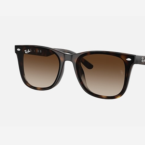 Rb4420 Sunglasses in Havana and Brown - RB4420 | Ray-Ban®