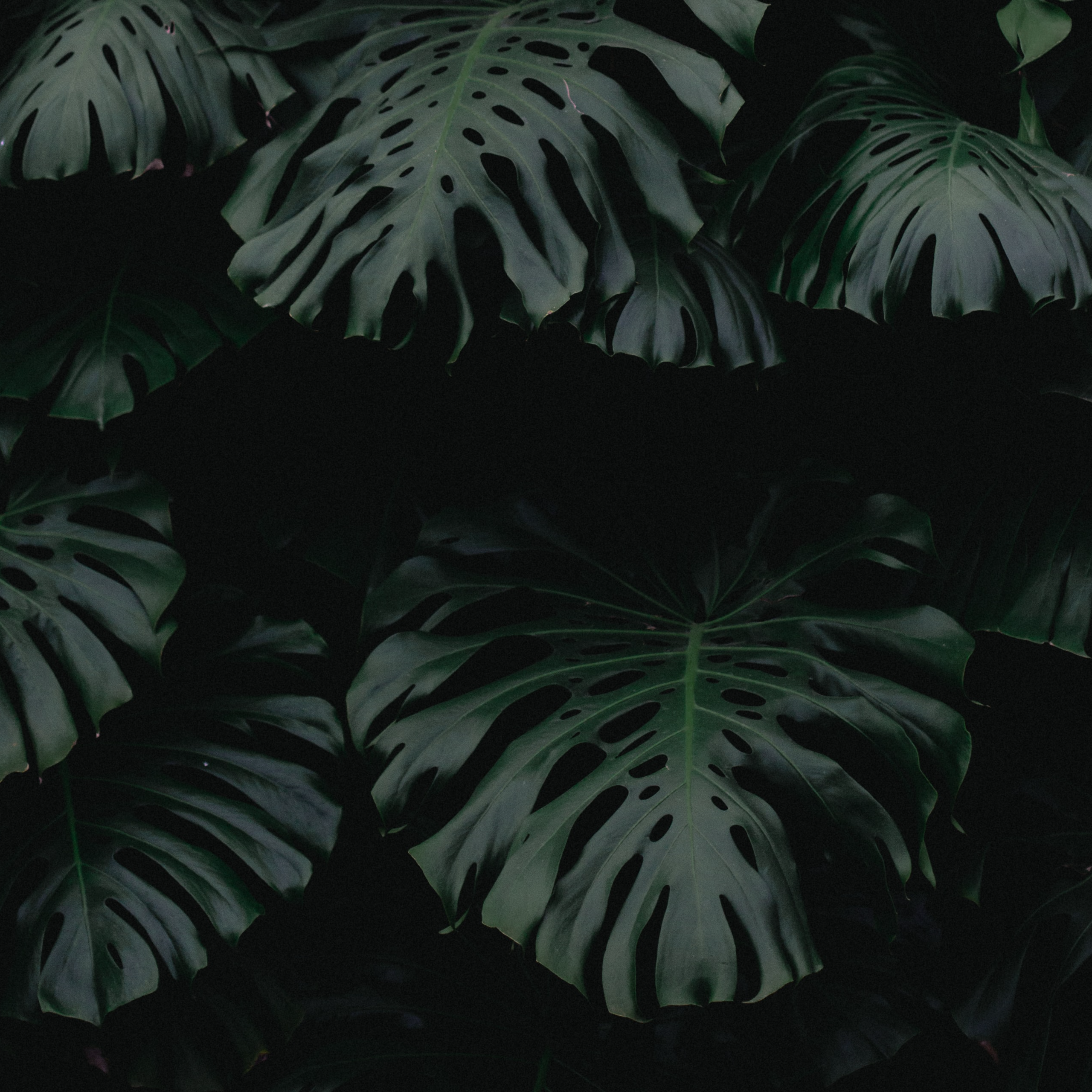 https://cdn.shopper.com/shopper-v2-prod/assets/user_products/7e742abb-c85f-4934-a2c5-ff9b15c93604.png