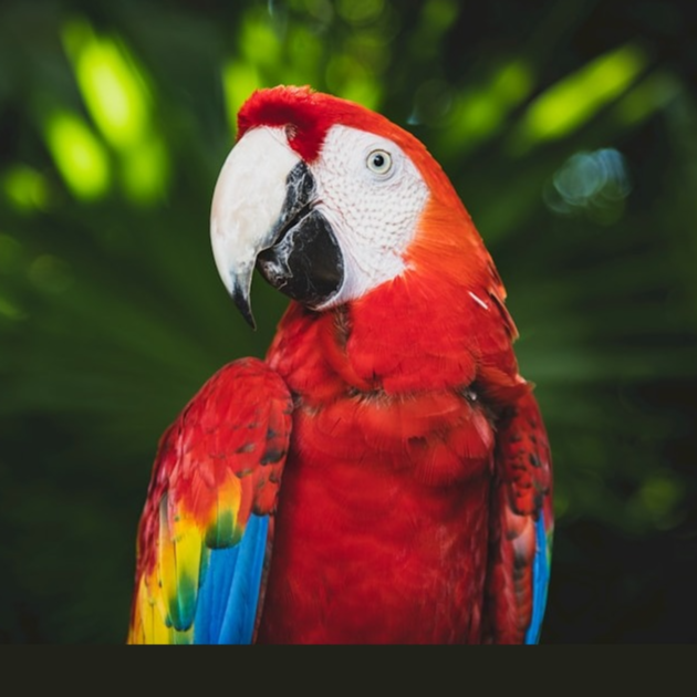 Xcaret Mexico