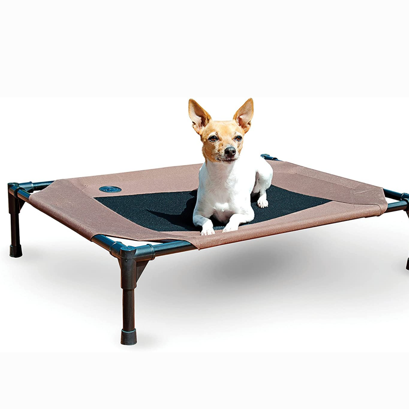 Elevated Dog Bed