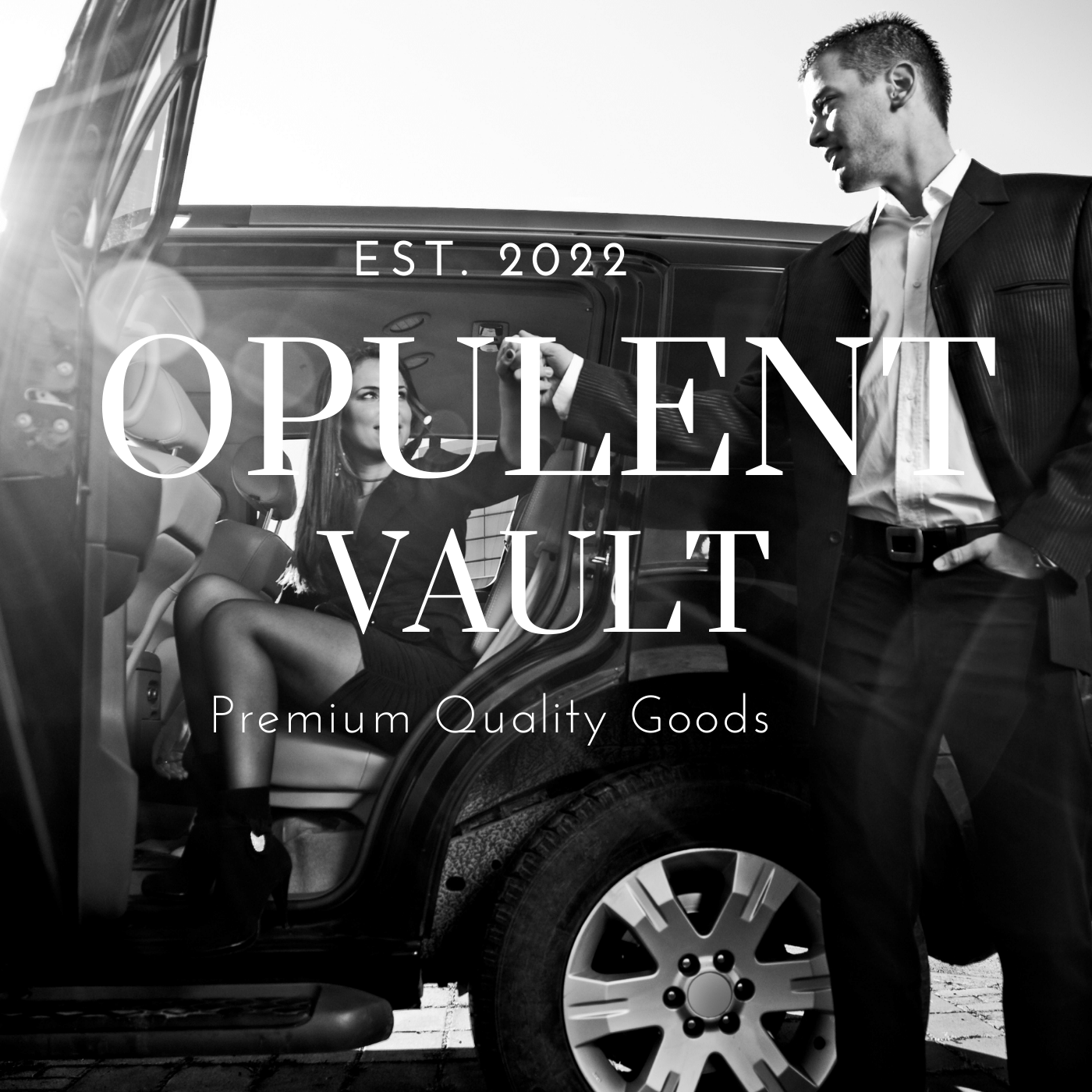 The Opulent Vault Image