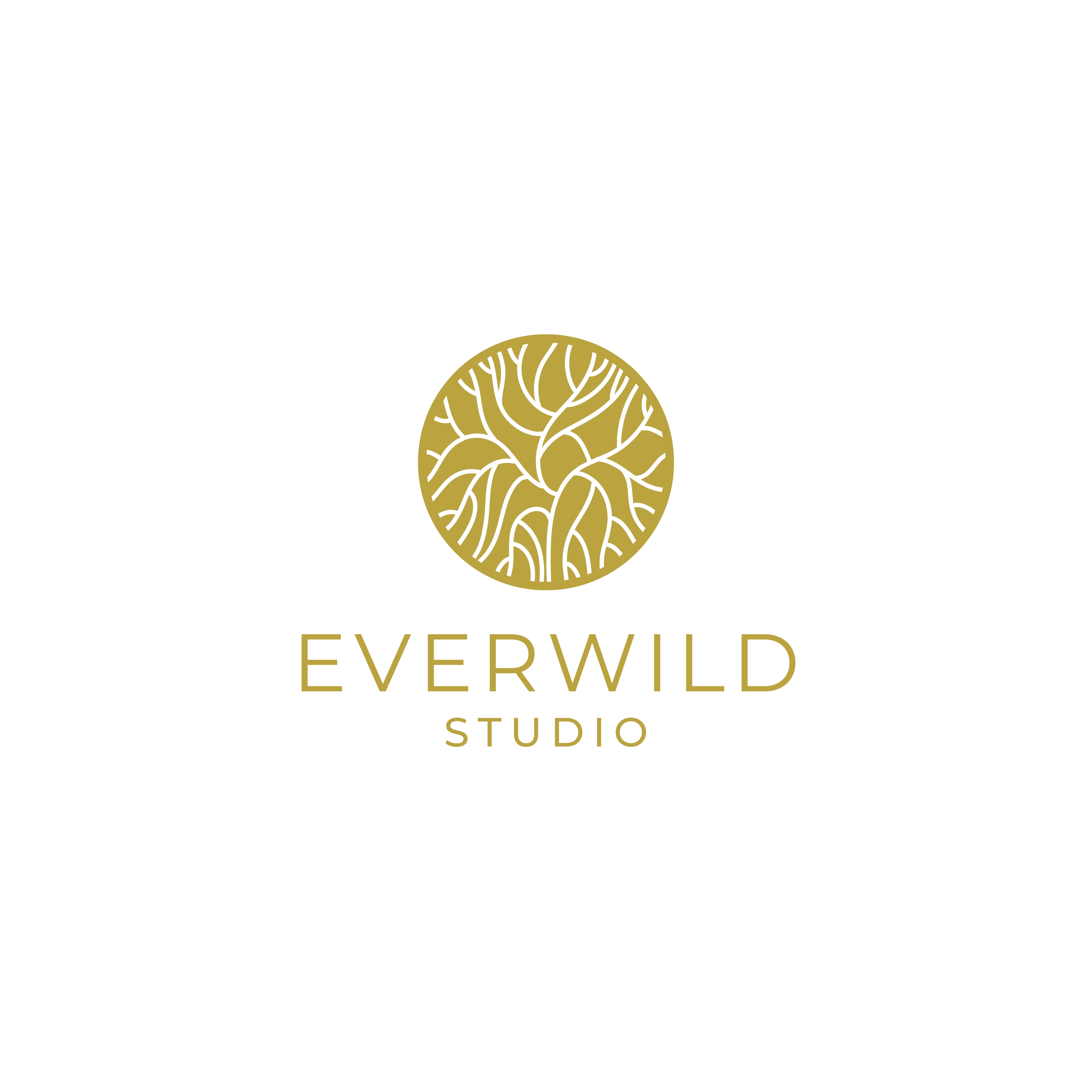 EVERWILD STUDIO Image